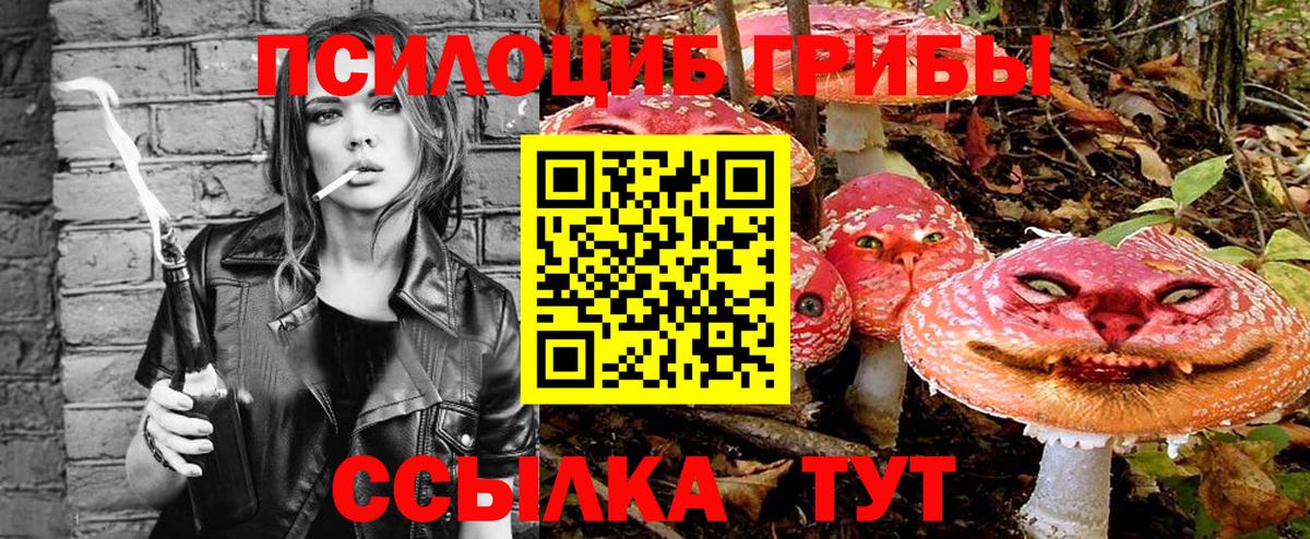 Гай  Галлюциногенные грибы Psilocybe  Псилоцибиновые грибы Cubensis  Вход с VPN 